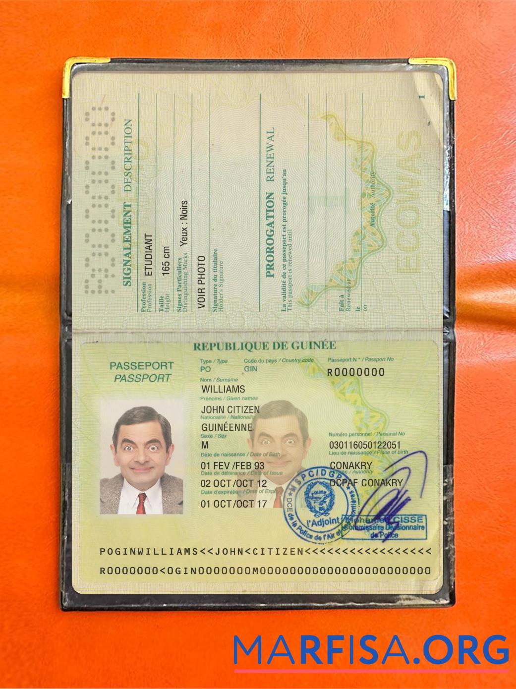 Realistic Guinea passport version 2 photolook real example